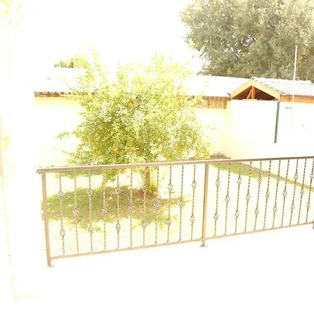 Sari * Dalyan